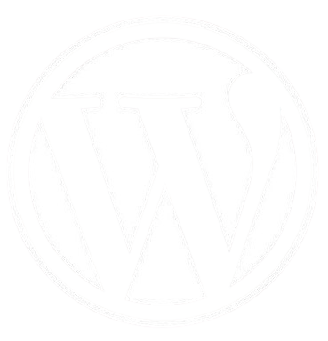WordPress developer